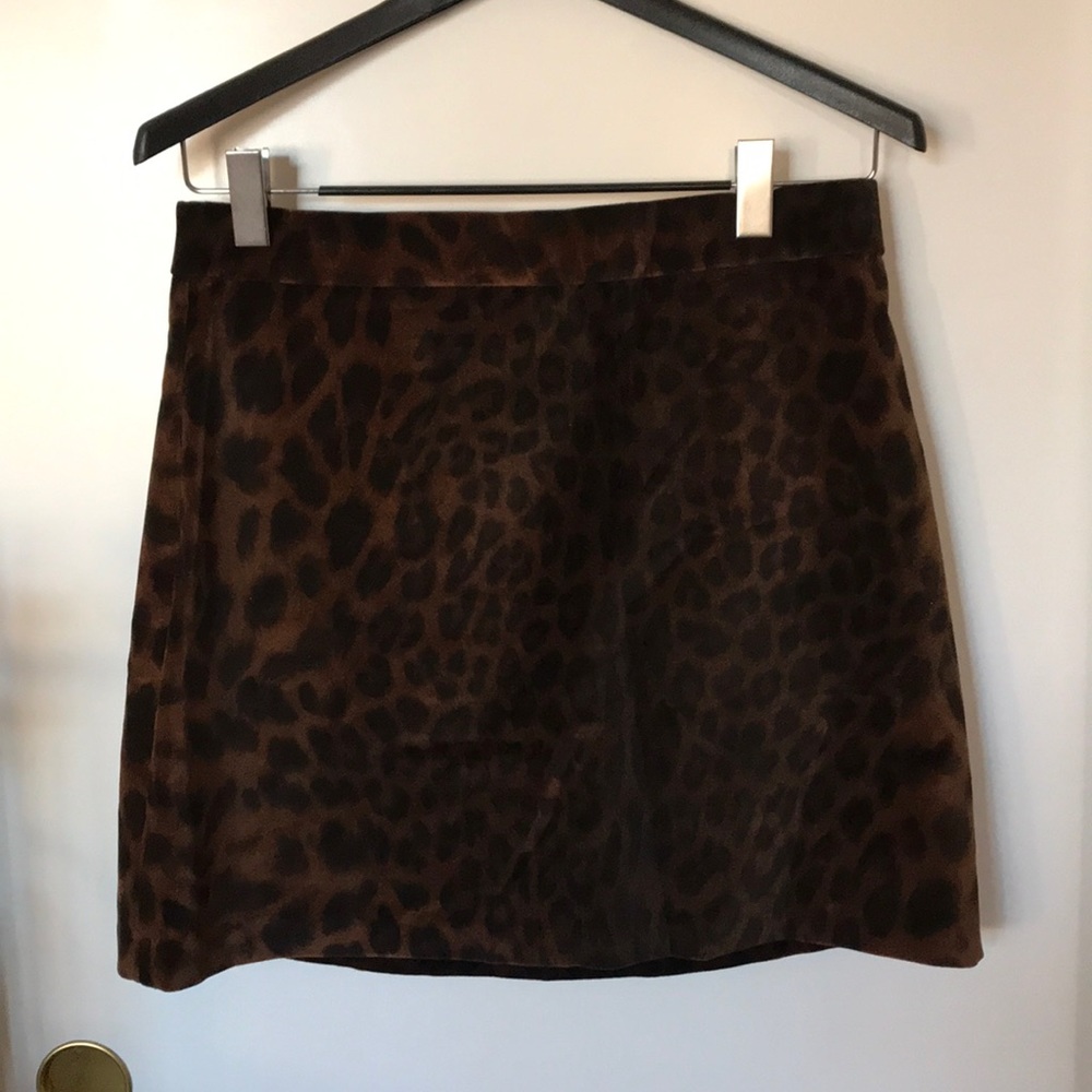 Zara Leopard Print Skirt